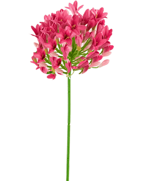 Fiore artificiale Agapanthus 77 cm rosa