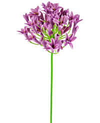 Fiore artificiale Agapanthus 77 cm viola