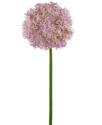 Fiore artificiale Allium Large 80 cm viola