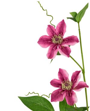 Fiore artificiale Clematis doppio 78 cm viola