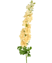 Fiore artificiale Delphinium 105 cm crema