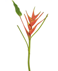 Fiore artificiale Heliconia 90 cm rosso