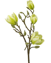 Fiore artificiale Magnolia 50 cm bianco/verde