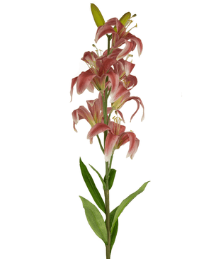 Fiore artificiale Martagon Lily 78 cm rosa antico