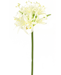 Fiore artificiale Nerine 70 cm bianco