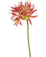 Fiore artificiale Nerine 70 cm fucsia