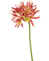 Fiore artificiale Nerine 70 cm fucsia