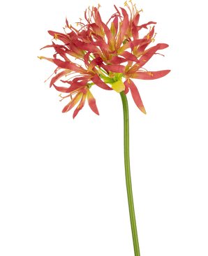 Fiore artificiale Nerine 70 cm fucsia
