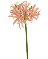 Fiore artificiale Nerine 70 cm rosa