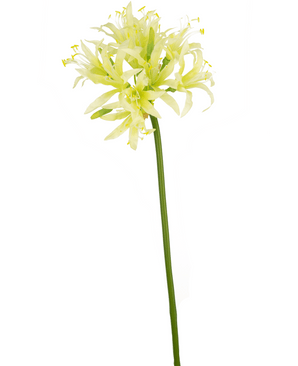 Fiore artificiale Nerine 70 cm verde