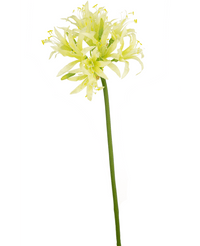 Fiore artificiale Nerine 70 cm verde