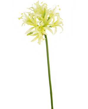 Fiore artificiale Nerine 70 cm verde