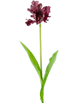 Fiore artificiale Parrocchetto francese Tulipano 76 cm viola