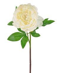 Fiore artificiale Peonia 61 cm bianco