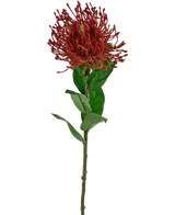 Fiore artificiale Protea 73 cm rosso