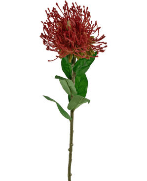 Fiore artificiale Protea 73 cm rosso