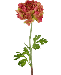 Fiore artificiale Ranunculus 51 cm rosa/verde