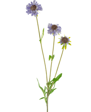 Fiore artificiale Scabiosa 63 cm blu