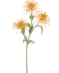 Fiore artificiale Scabiosa Japonica 70 cm peach