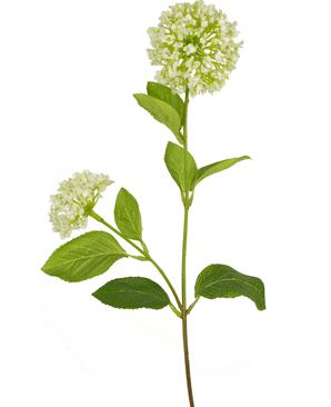 Fiore artificiale Snowball/Viburnum 70 cm verde/bianco