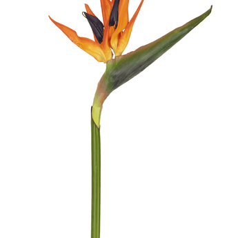 Fiore artificiale Strelitzia 86 cm rosso/viola