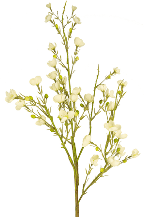 Fiore artificiale Wild Waxflower 85 cm crema