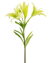 Fiore artificiale giglio asiatico 66 cm bianco