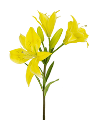 Fiore artificiale giglio asiatico 66 cm giallo