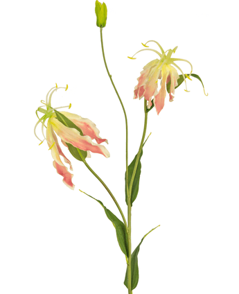 Fiore artificiale gloriosa 81 cm rosa/bianco