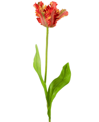 Fiore artificiale parrocchetto francese Tulipano 76 cm rosso/giallo