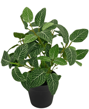 Fittonia artificiale verde-bianco in vaso 35 cm