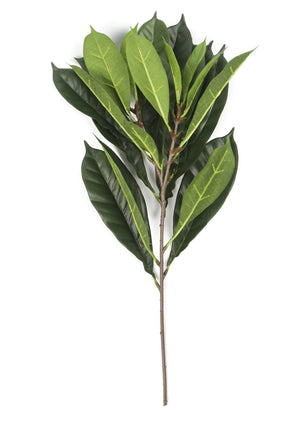 Foglia artificiale Cyathistipula 63 cm ignifuga