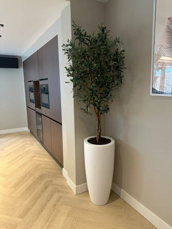 De Kunst olijfboom 160 cm UV staat in een witte plantenbak in de hoek van een moderne kamer met lichthouten vloer en bruine inbouwkasten.