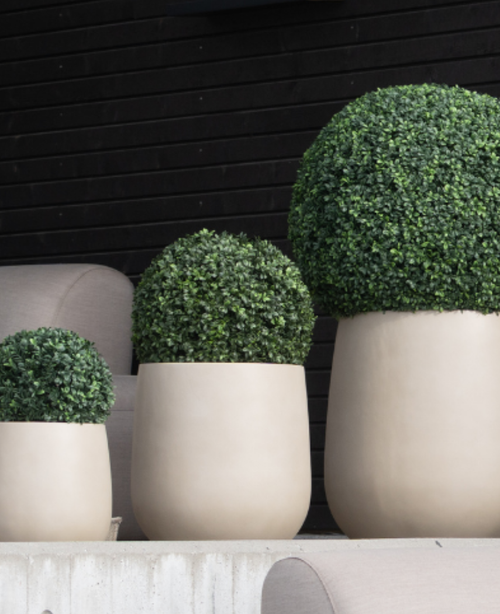 Tre alberi di arte topiaria artificiale in legno di bosso in stile romano UV D40 cm in fioriere beige sono allineati davanti a una parete di legno nero e sedie grigio chiaro.