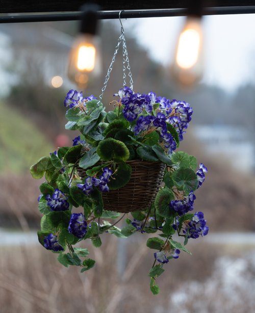 Il cesto di Begonia artificiale viola UV 70 cm è un cesto sospeso con begonie artificiali viola vibrante con foglie verdi, perfetto per l'esterno. La disposizione aggiunge colore e fascino sotto le lampadine a luce calda.