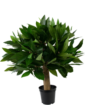 Pianta finta Alloro 33 cm UV