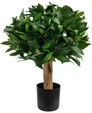 Pianta finta Alloro d30 cm UV