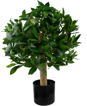 Pianta finta Alloro d40 cm UV