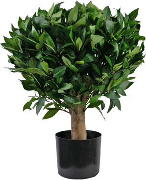 Pianta finta Alloro d65 cm UV