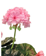 Gerani finti 40 cm rosa