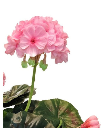 Gerani finti 40 cm rosa