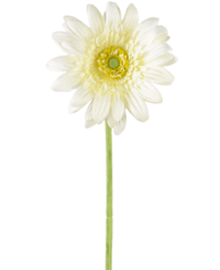 Gerbera artificiale 53 cm bianca