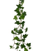 Ghirlanda di Edera finta pendente Deluxe 180 cm verde