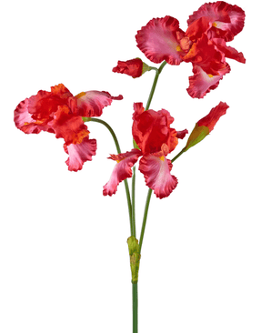 Kunnst fiore Iris 102 cm rosso