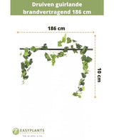De Kunst Druiven guirlande brandvertragend 186 cm is 10 cm hoog, met groene bladeren en druiven. Ideaal als kunstplantdecoratie of brandvertragende slinger. Voorzien van Nederlandse tekst en Easyplants Kunstplanten logo onderaan.