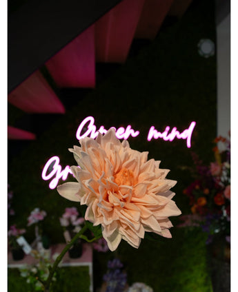 Een Kunst Georgine Real Touch lichtroze 70cm dahlia in focus, met een wazig neon "Open mind" bord en kleurrijke bloemen op de achtergrond.