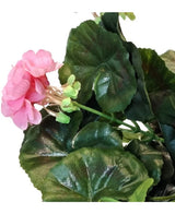 Een close-up van de Kunst Geranium 40 cm roze, met meerdere groene bladeren tegen een witte achtergrond.