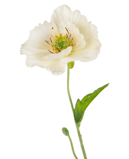Il papavero artificiale Real Touch Crema/giallo 65 cm ha un singolo fiore bianco con petali delicati, un cuore giallo-verde, stelo sottile, foglie verdi e piccolo bocciolo su uno sfondo bianco.
