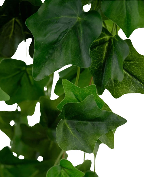 Primo piano di Edera Artificiale 105 cm verde: foglie di edera artificiale verde rigoglioso con venature visibili e una consistenza leggermente lucida, sovrapposte l'una all'altra su uno sfondo bianco.