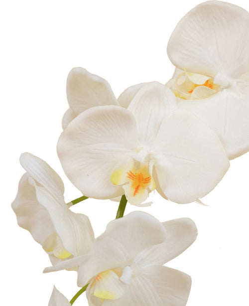 Un primo piano dell'orchidea artificiale bianca da 50 cm in vaso mostra diversi fiori di orchidea bianchi con centri giallo chiaro e arancioni su uno sfondo bianco.